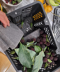 50Ԫһ��3-4������С��̿��÷����Ⱥã�Ӳ�Ⱥá��������