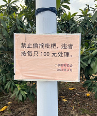 ·��ժһ�����˳���͵��