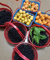 ��ĩʱ�⣬һ�������е����ˮ����ժ����