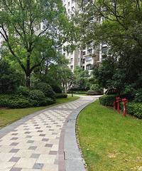 �Ͳ�ס��Ҫ���޼���ľ