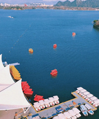 ����԰��ֹ20���ӡ�������������������