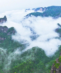 ȷ����ˡ�����ѡ��Ũ�ˡ������ɾӡ�Ũ�����Ρ������ˣ�