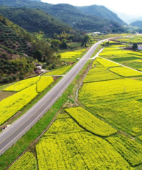 ��Ϊ����ֵ����̨������·��ȫ����Ȧ