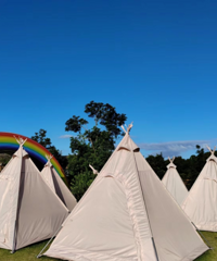 С��ӯ����������ʱ��520�Ƽ�һ������֮�ã�