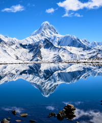 ̨�ݻ�����101��A��������ѣ�