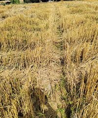 �����������ո���������ͷ