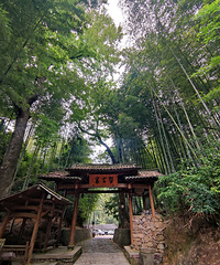 Ѱ�ҹŴ���:�߼�կ�������Ϫ��Դͷ��ɽ���һ��������Դ