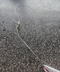 [�۸���]��������ÿ������϶��й��ӣ���һ��һ��������