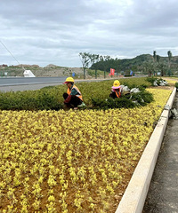 [��Ϣ]��̣�Ԥ��9��ͨ��