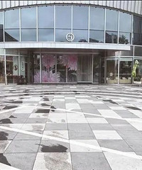 ���������Ǽ�ֵ11������ӵ��ܱ�ײ�ƣ�һ���۸�˾����ײһ��