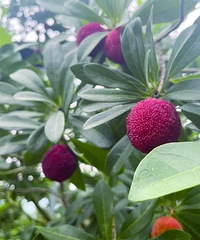 һ������150Ԫ��̨���ϰ�绰���򱬣���ȫ�����������ϴ�������