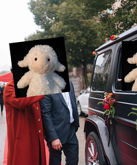 �鳵������