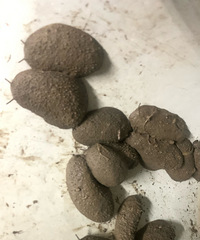 ���Ǻ���ģ���ʲô��һ�μ���