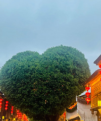 ���и�֮�ݣ����и�֮��