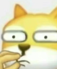 ��������7��ı��ǵϺ�Ÿ����������Ԥ��26��ĳ�