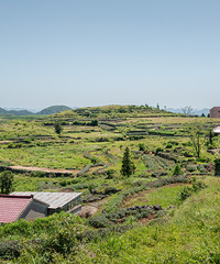 ����ɽ�ĳ���ɫ�������úܰ����ĵط�