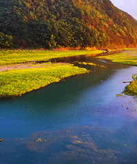 ��̶ˮ�������и�����̶��С�壬���ֳ�һ���ѵ�һ����������