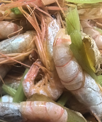 �������ʲô������ͷϺ���۲�