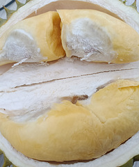 ������������У����֣���ʳһ����������