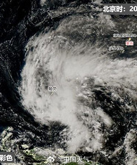 δ��2-3�콫��ǿ�������׸�̨��������Ϣ