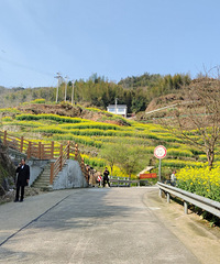 Ƭɫâݻɽȣ񴺿˽ɫͲ˻