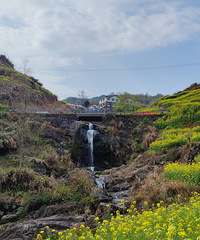 ��������Ƭ��������ɫâ�ݻ���ɽ�ȣ��񴺿����˽�ɫ���Ͳ˻�