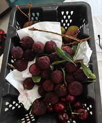 �����÷Ӧ�ò��Ǳ�����÷