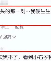 ����һ���µ����복������ʯͷǰ������֧�ܶ���