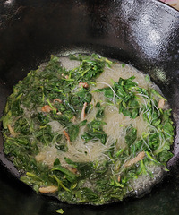 [�����ʲô]����Ҷ������