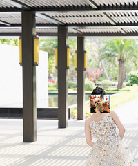 ���Ĵ��ա�Anlab/������/��ľӰ��