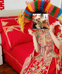 ��������̬�Ⱥ�