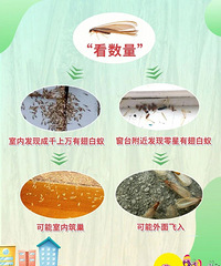 �������飡�������֣�̨���˽���Ҫע��...