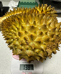 �ó��ҵ�С�ӣ�������������Ǳ������Ǳ���