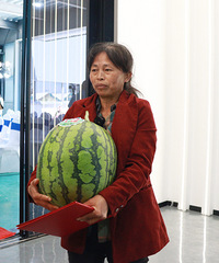 ��������������