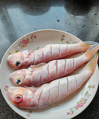 ������Ƥ������Ļ�����������