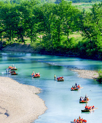 ���ɾӣ����̵���Ư�����������Ѿ�����next level��