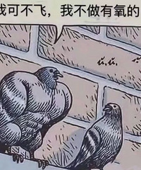 �����������������ļ�������