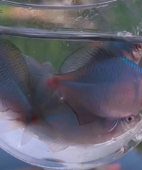 ̨����������̵������㰡