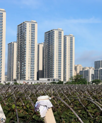 ���������ַַ�����172�ף������������ٷ�����