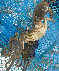 85Ԫ/�̨���˰��Ե���������һ�������ˣ����۾��ڡ�