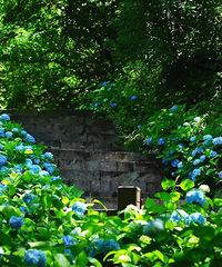 ���ſڵġ�Ī�λ�԰�����°��ȥ���뻭��