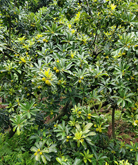 ͬ���Ĺ�����ʽ��һ���̿�ѷ��죬��һ�껹���