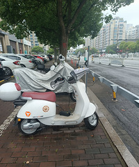 �������ĵط��綯���г���磬������