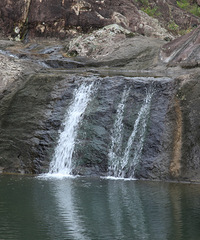 ��һ��ͽ�������ǵ��˵�