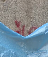 �ձ��������磬ͻ����