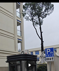 ���羭������Сѧ����ϸ����Ƶ��������������Ѿ���ֲ�����ˡ�