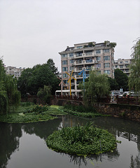 ����������Ա������ˮ��ֲ��