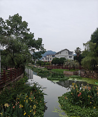 ����������Ա������ˮ��ֲ��