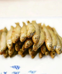 �����ڣ�̨����Щ��ʳ���ʡ������üë~