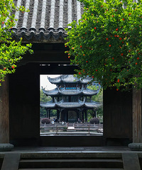 ǧ��̨�ݸ��������潭�ϣ�Ψ���ٺ���